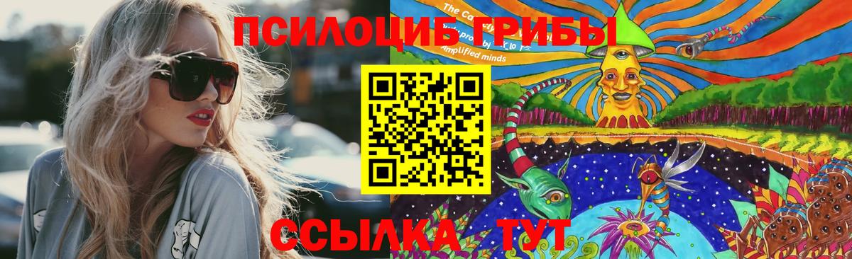 Галлюциногенные грибы мицелий  Вход с VPN  Асино 